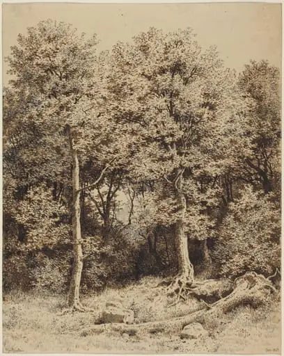 A Copse of Trees