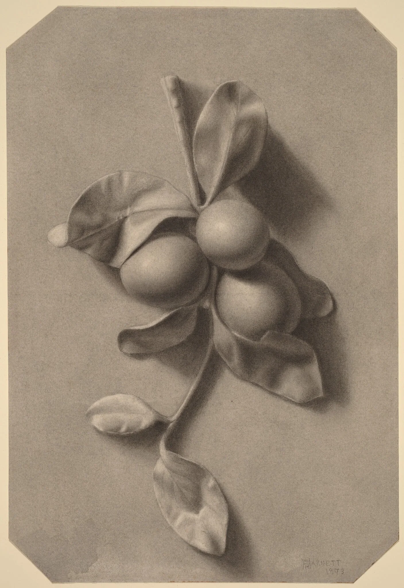 A Sprig of Plums, by William Michael Harnett, chalk, 1873