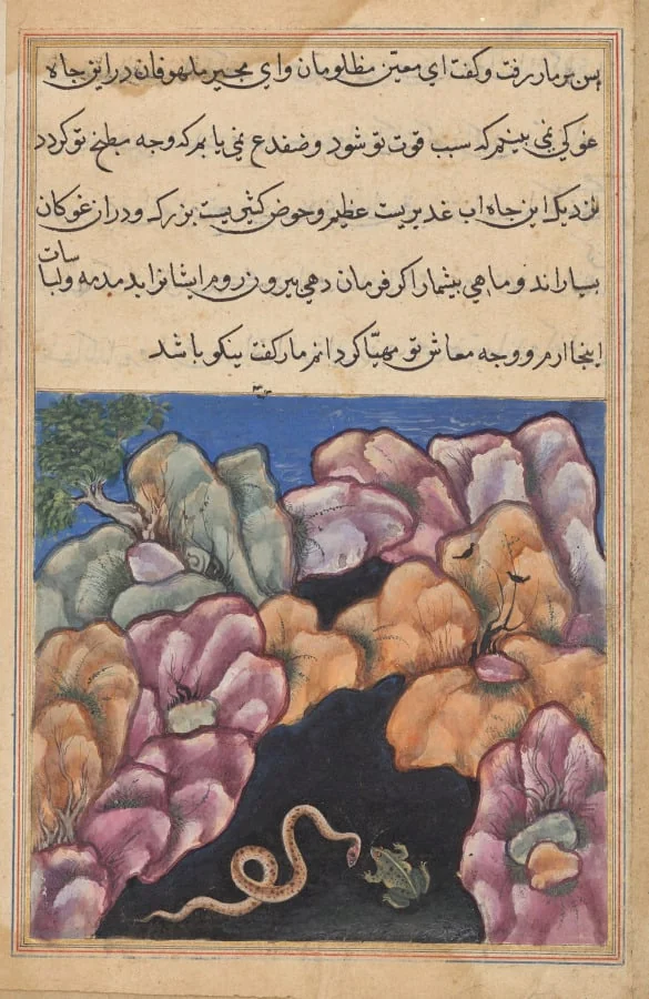 The snake enters into an argument with the frog, from a Tuti-nama (Tales of a Parrot): Twenty-sixth Night, by Unknown, unspecified, 1560