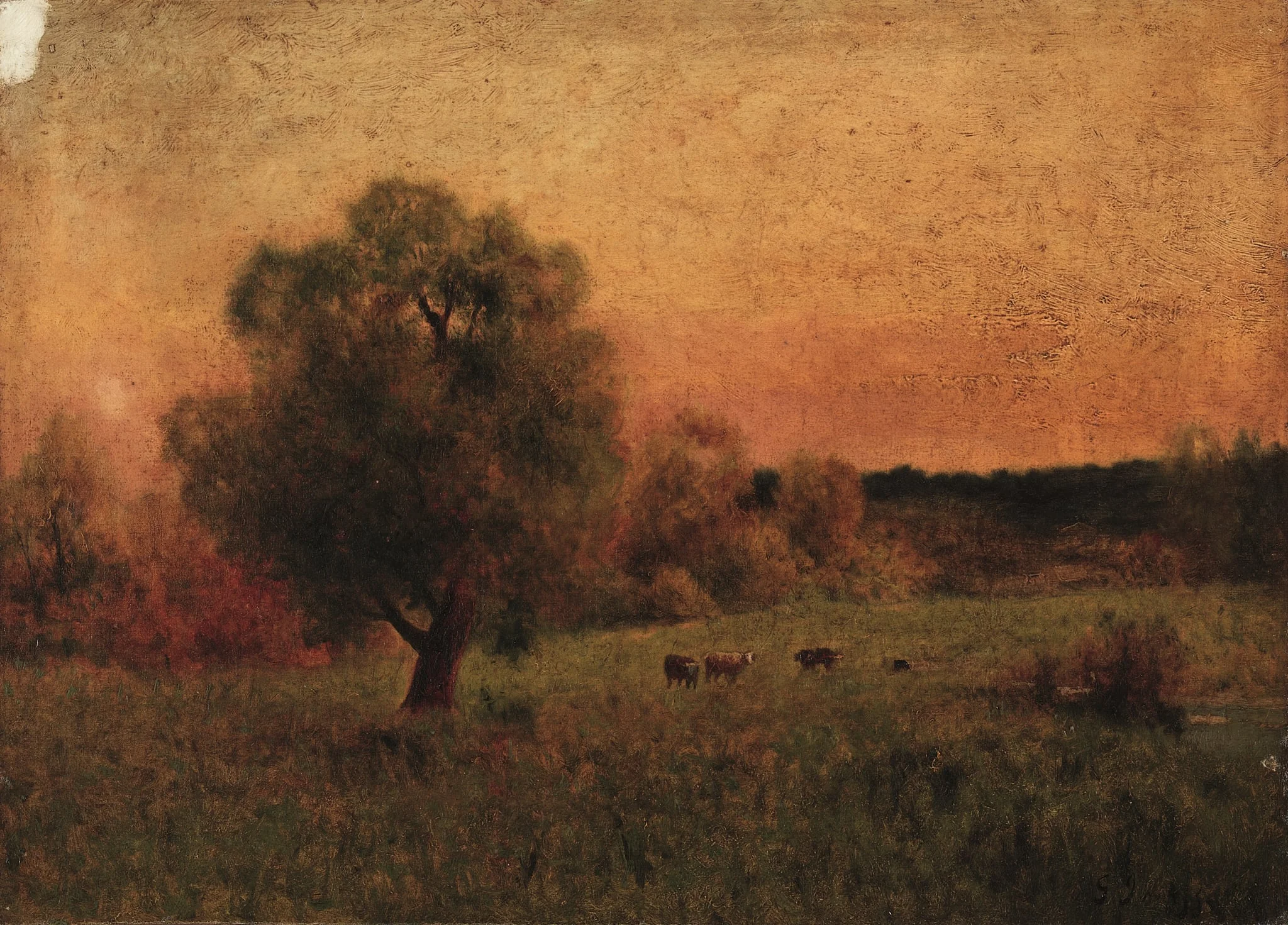 Cows in a Field, by George Inness, unspecified, 1956