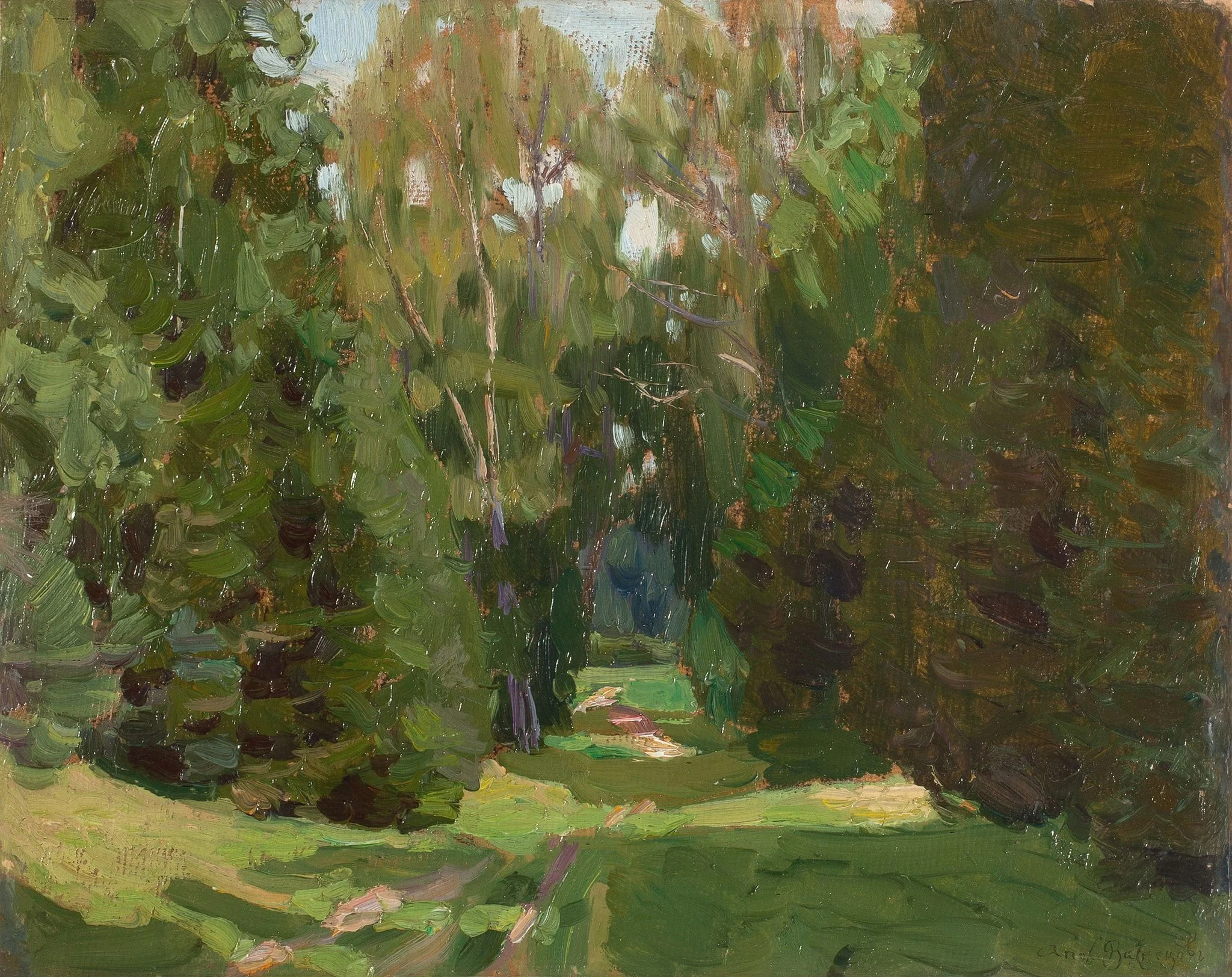 Forest alley