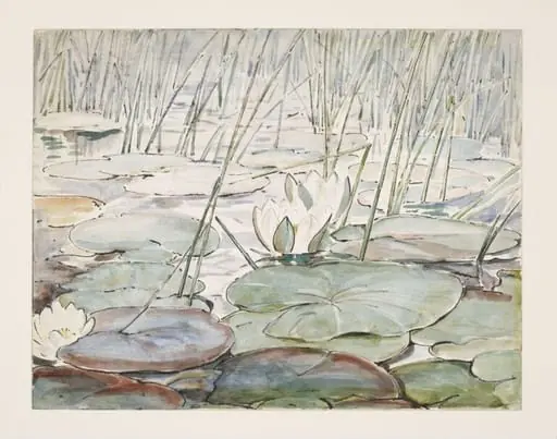 Waterlilies
