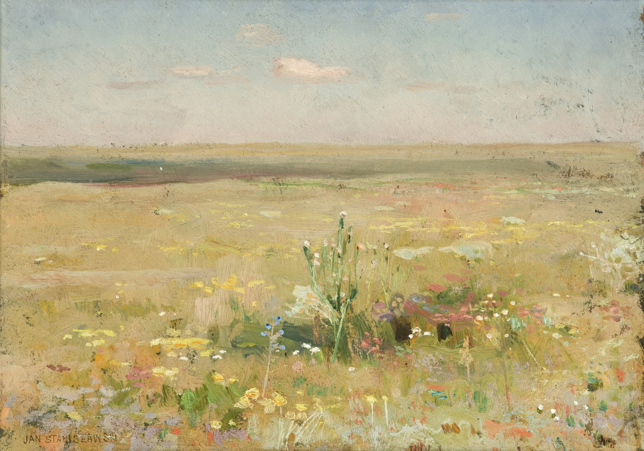 Steppe