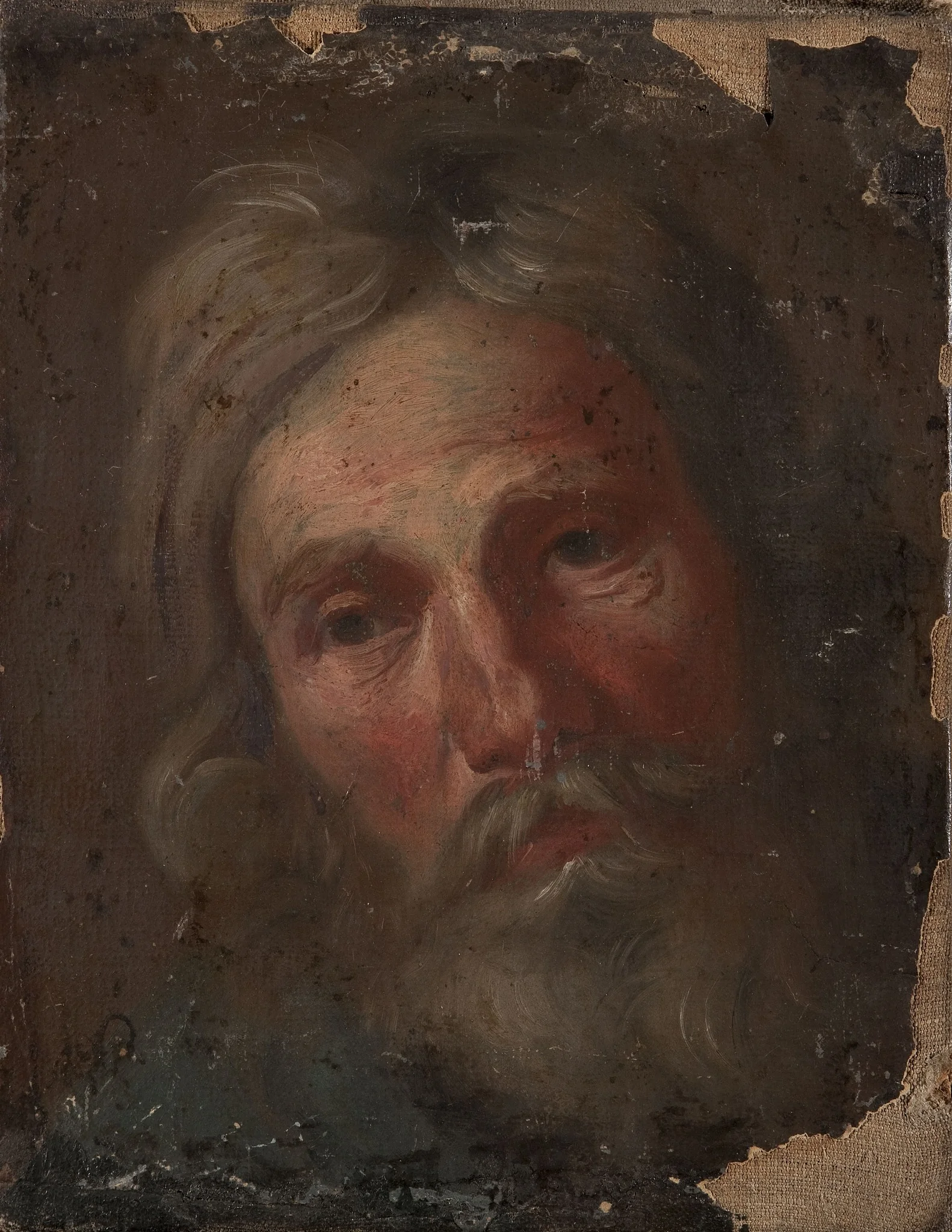 Study of an old man's head, by Szymon Czechowicz, oil, 1739