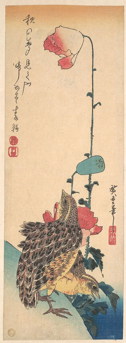 歌川広重画　罌栗に鶉|A Pair of Quails and Poppies, by Utagawa Hiroshige, ink, 1835