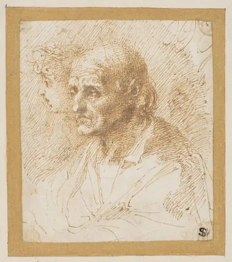 Study of the head of an old man