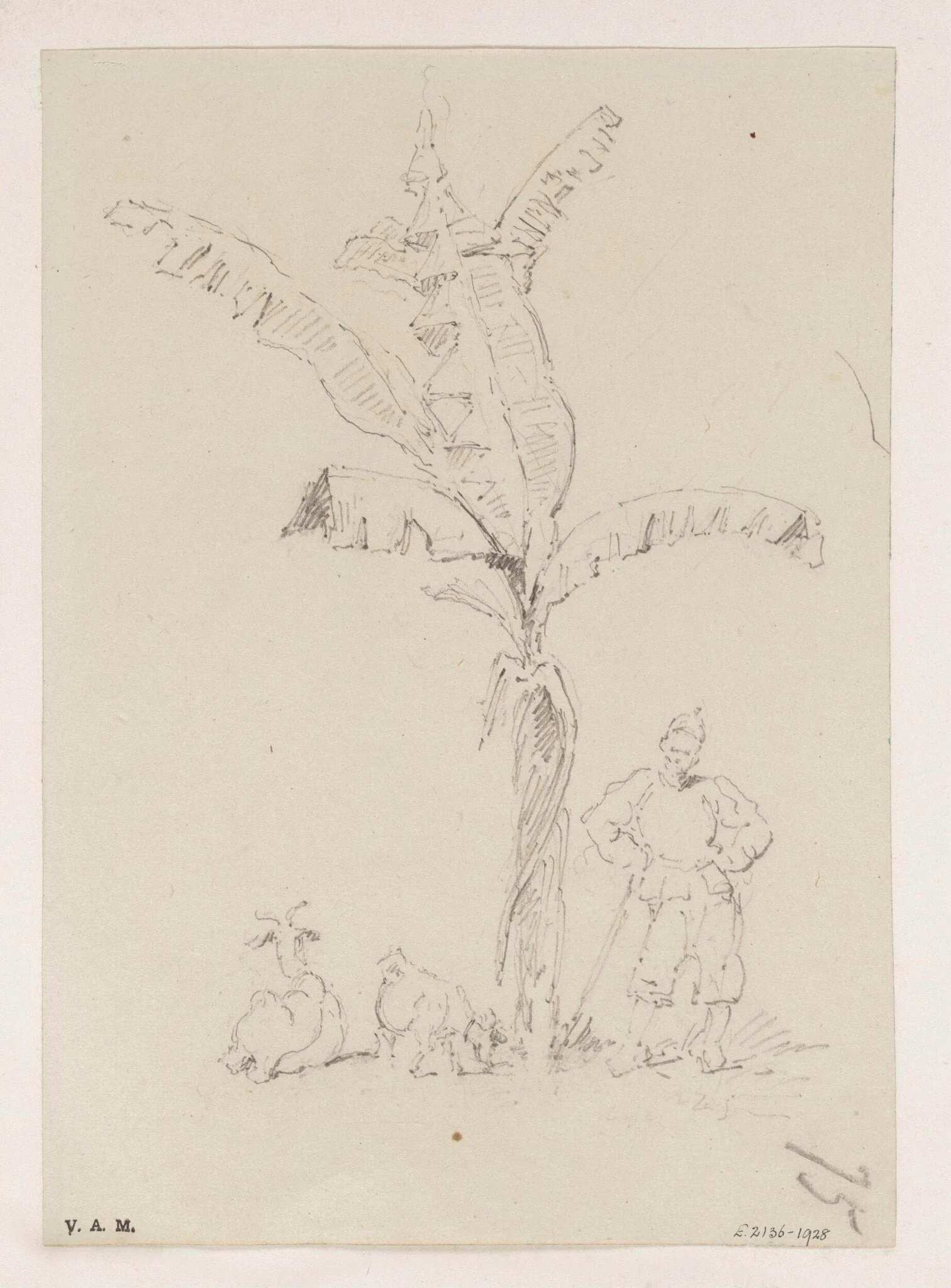 A Chinese man and two goats beneath a banana palm, by George Chinnery, 19