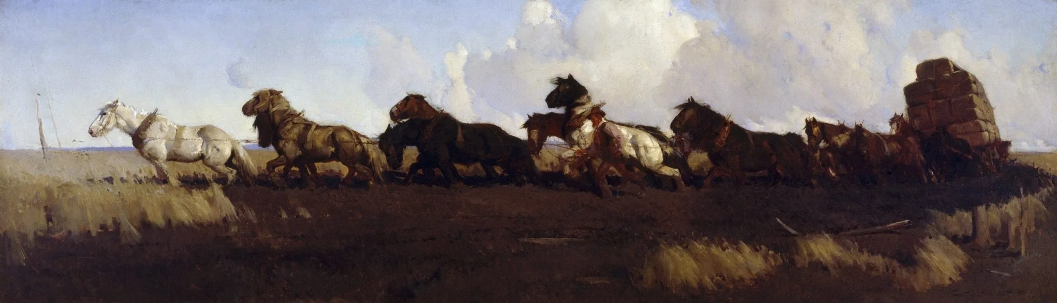 Across the black soil plains