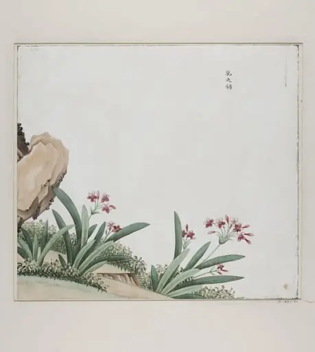 tuo yi jin