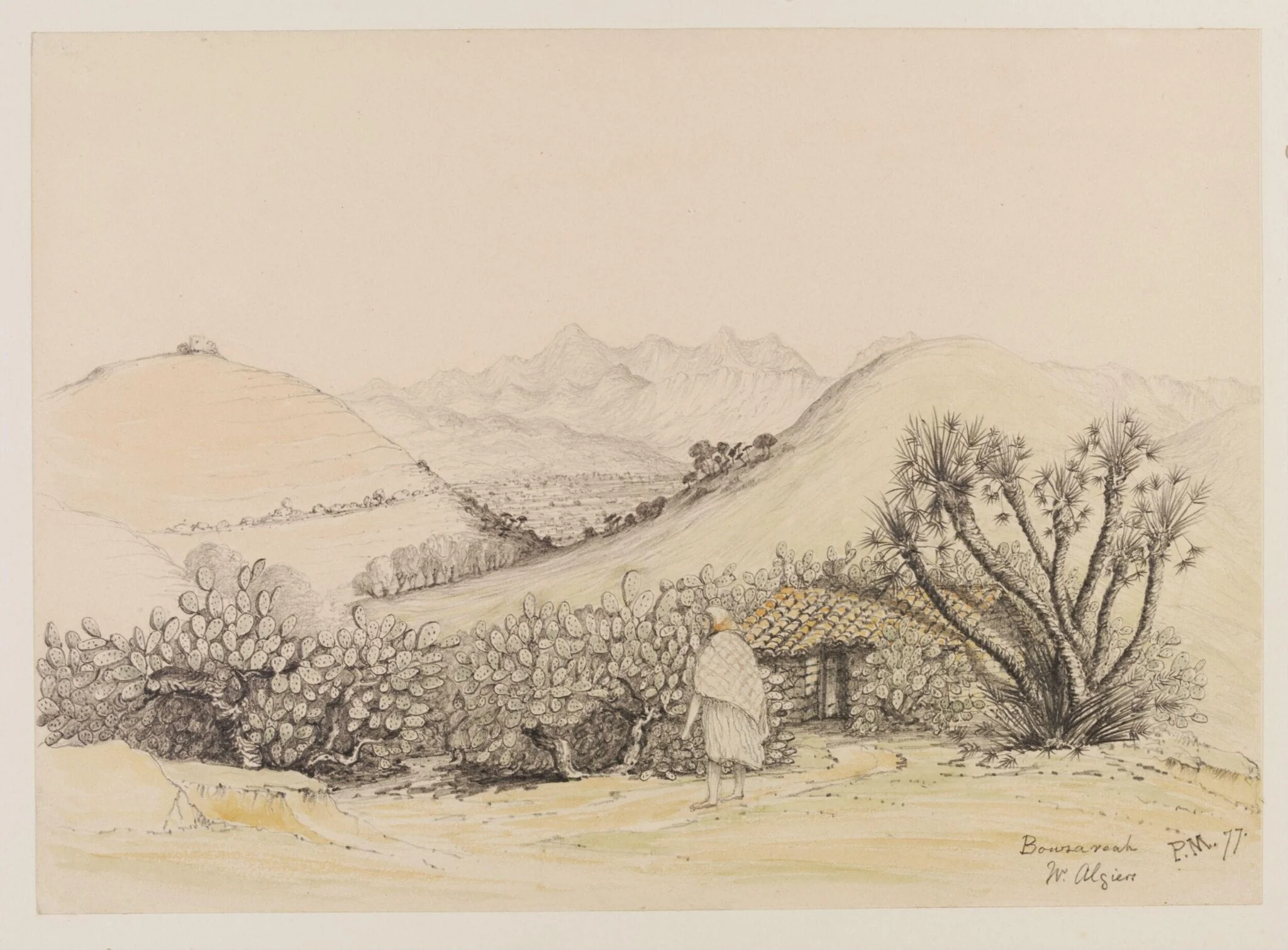 Bouzareah  W. Algiers