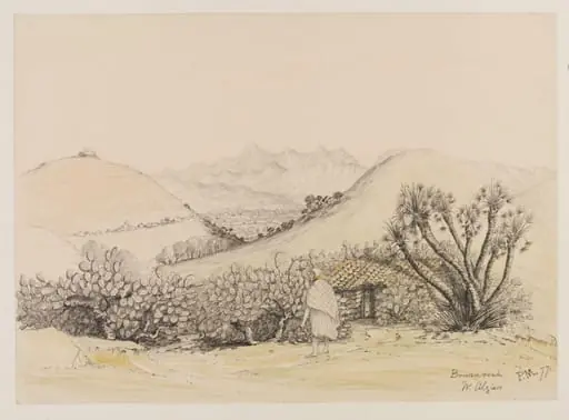Bouzareah  W. Algiers
