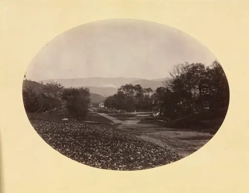 A Road in Williamstown