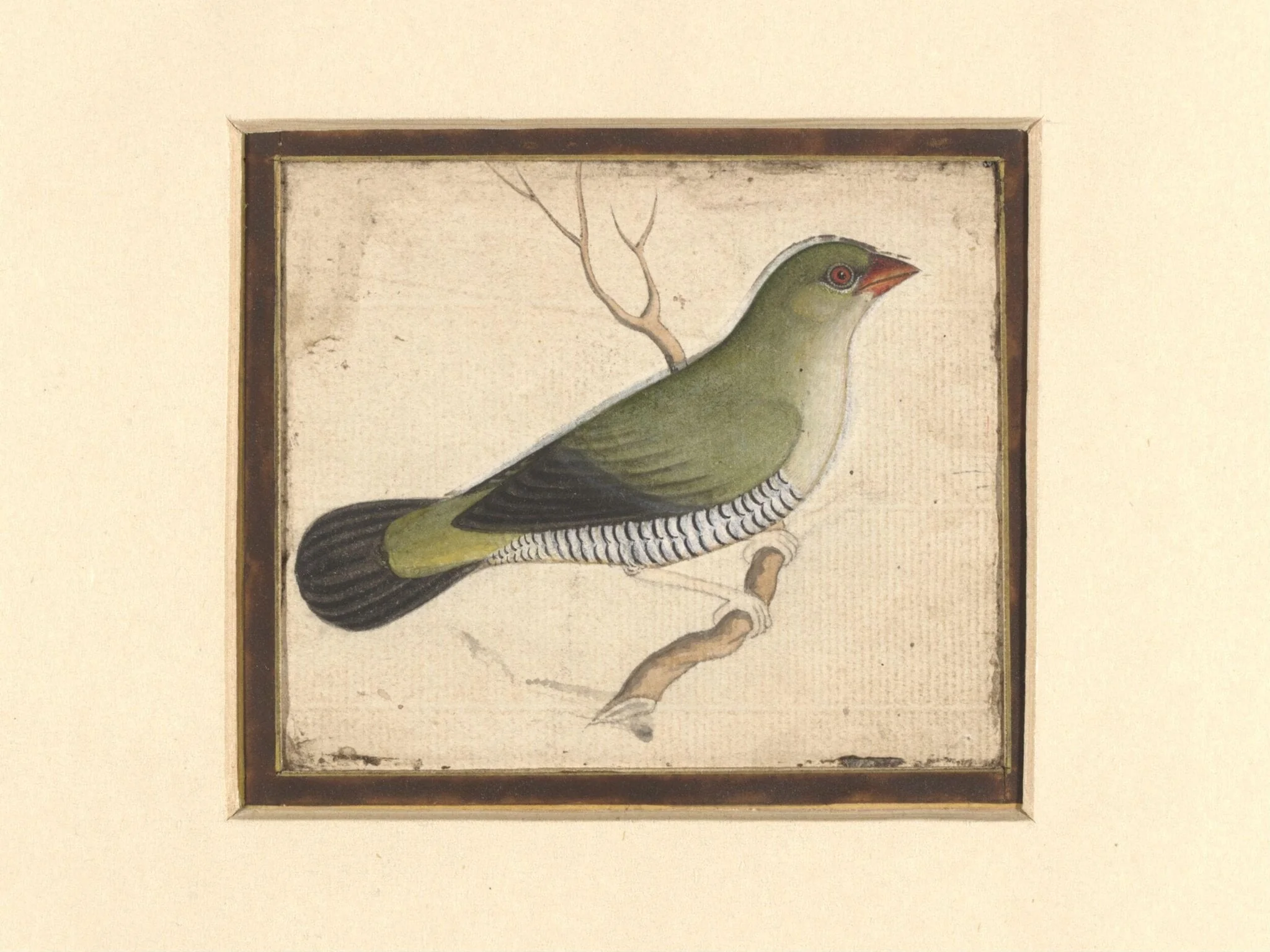Two paintings of birds on a single sheet, by Unknown, watercolor, 1830