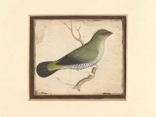 Two paintings of birds on a single sheet