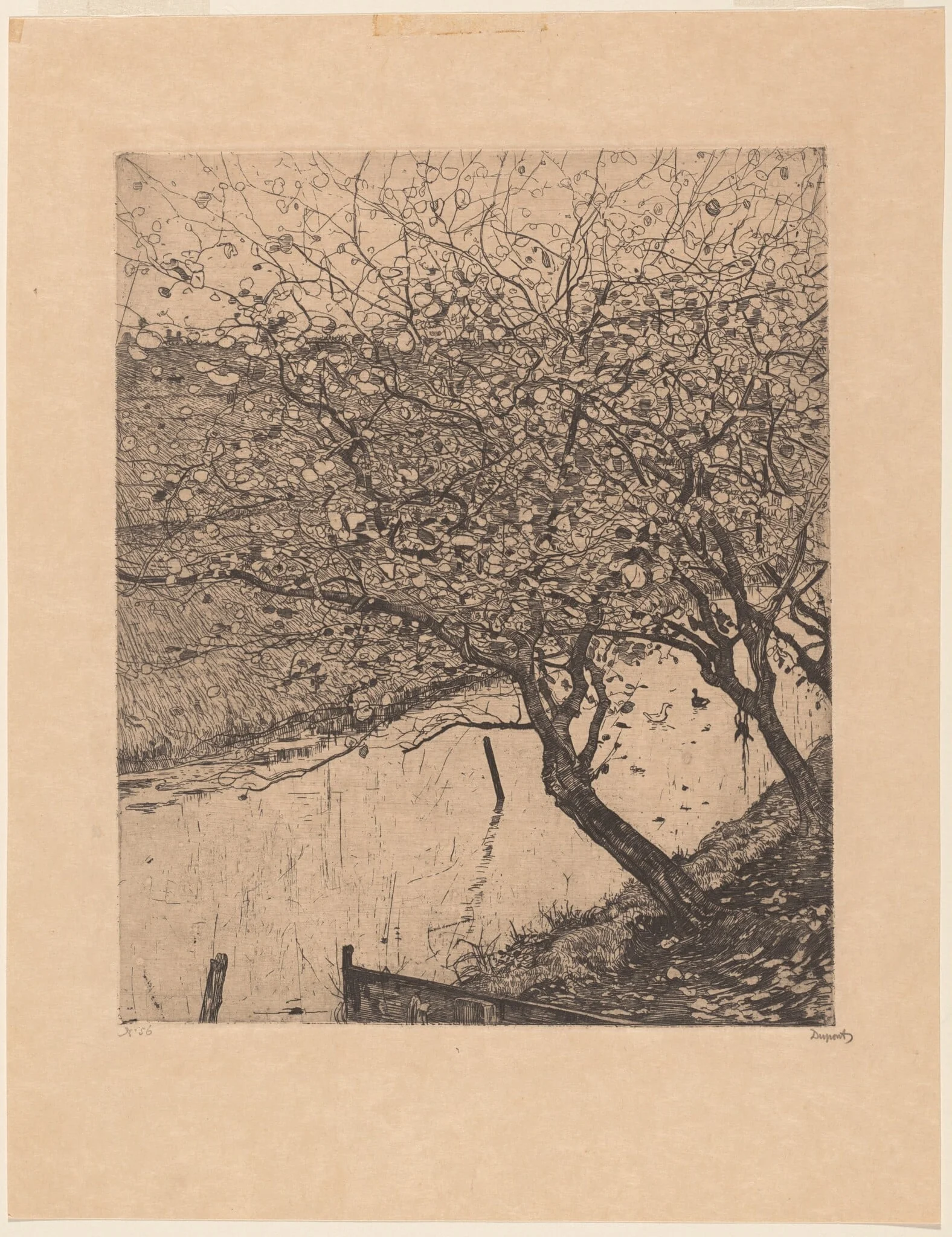 Apple Trees along the Side of a Ditch, by Pieter Dupont, ink, 1894