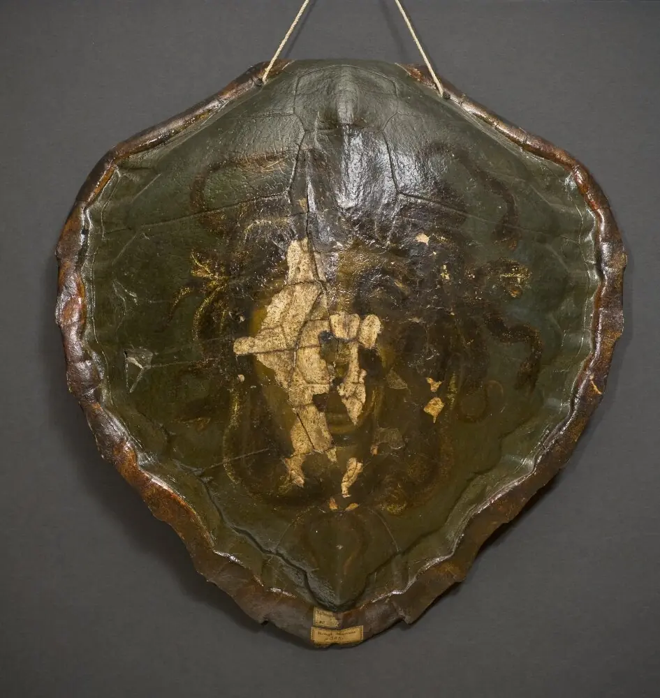 Head of Medusa