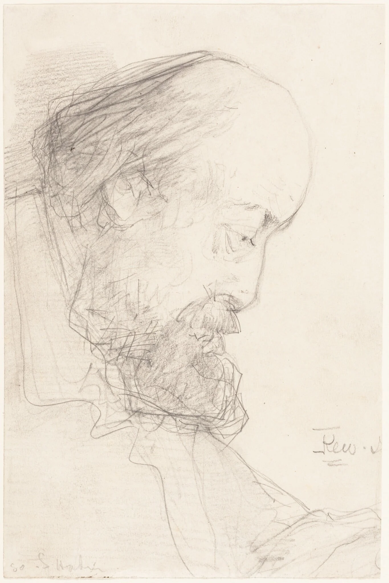 Griff, by Francis Seymour Haden, graphite, 1864
