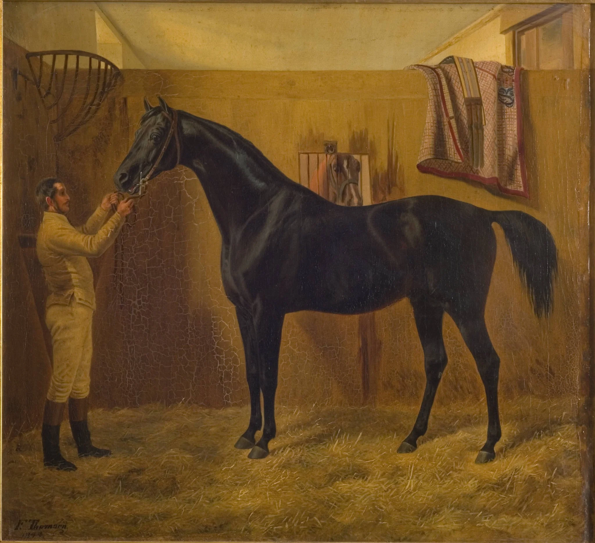 Black Comet, by Unknown, 1849
