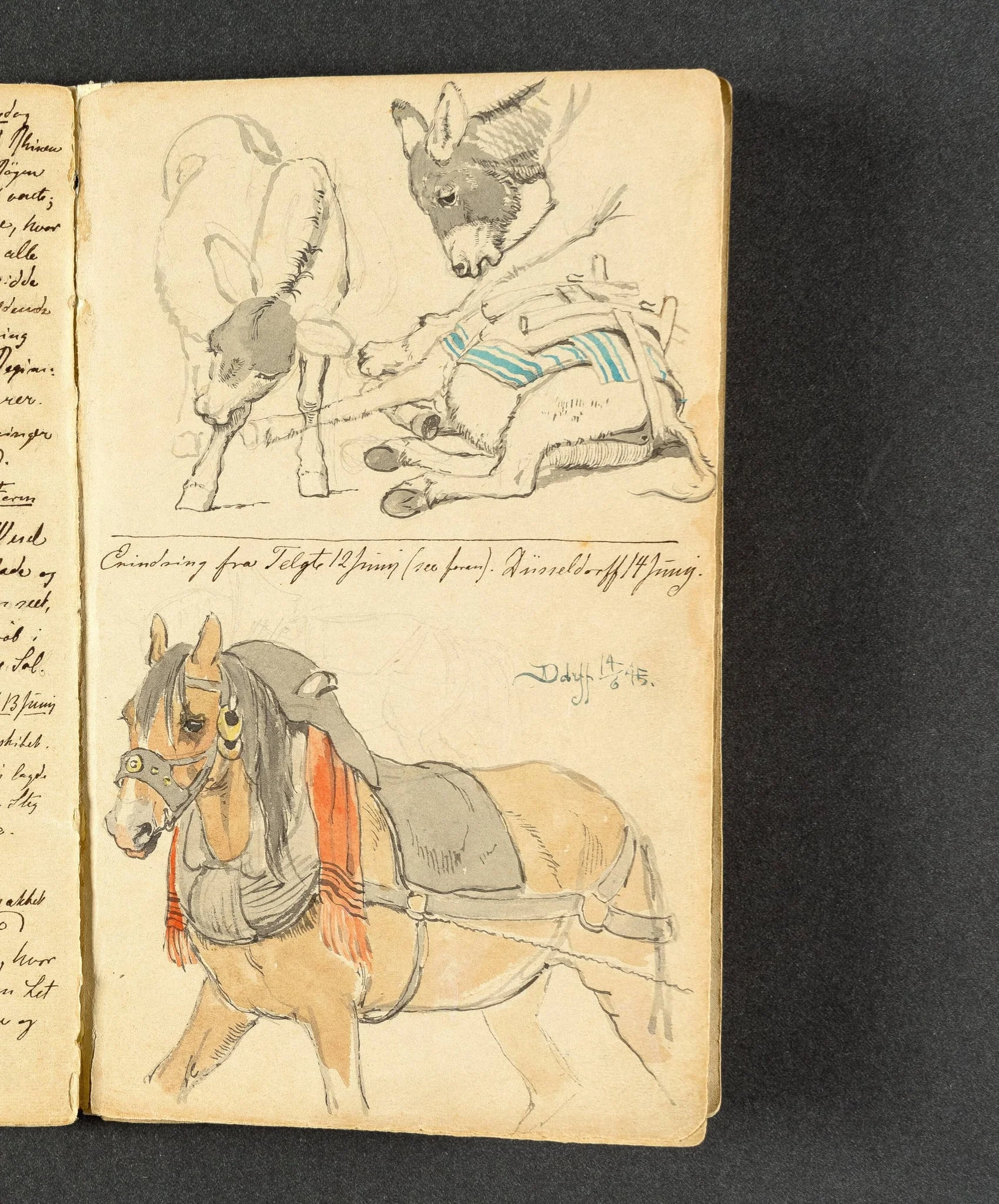 Studier af æsler og en forspændt hest, by Unknown, unspecified, 1845