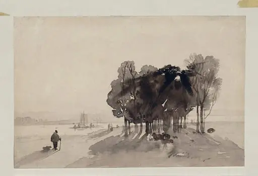 Clump of Trees