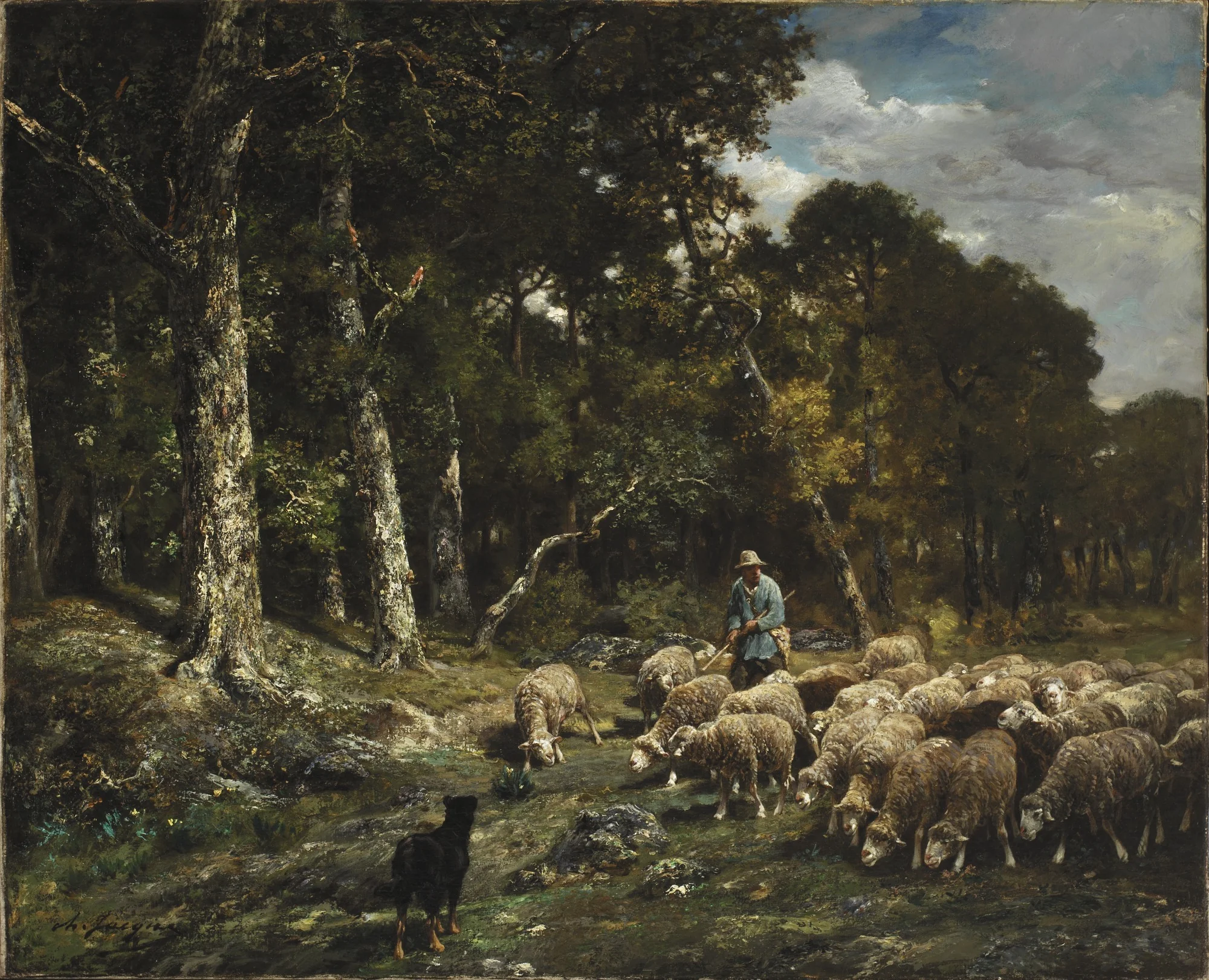 The Flock