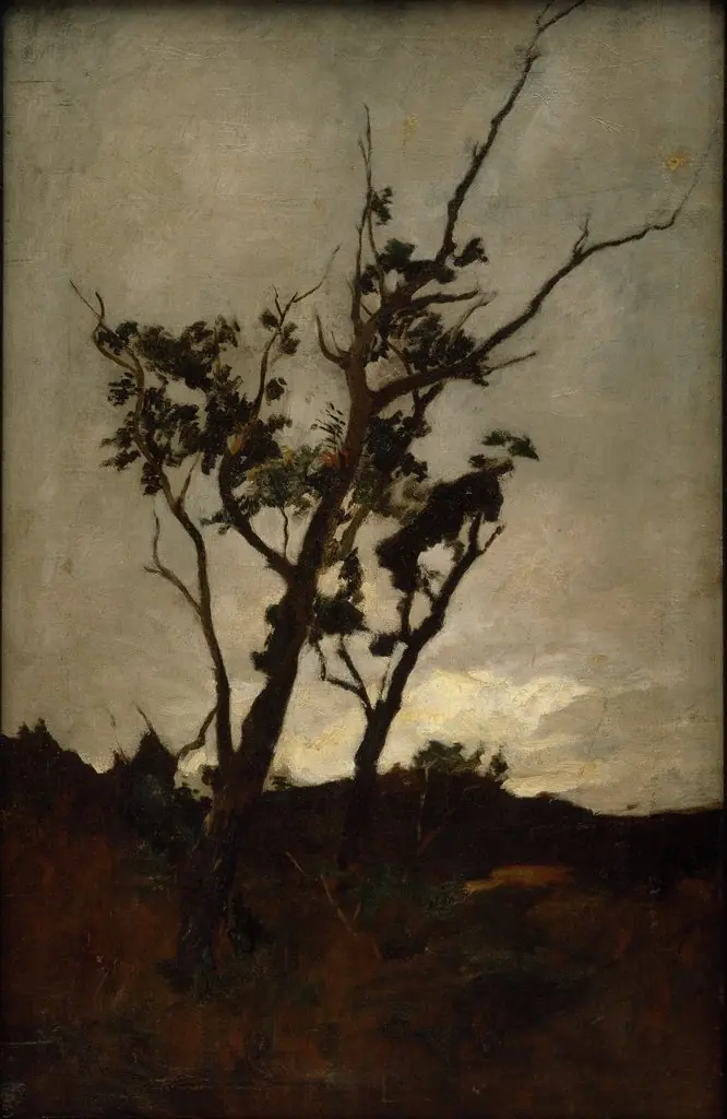 Tree study