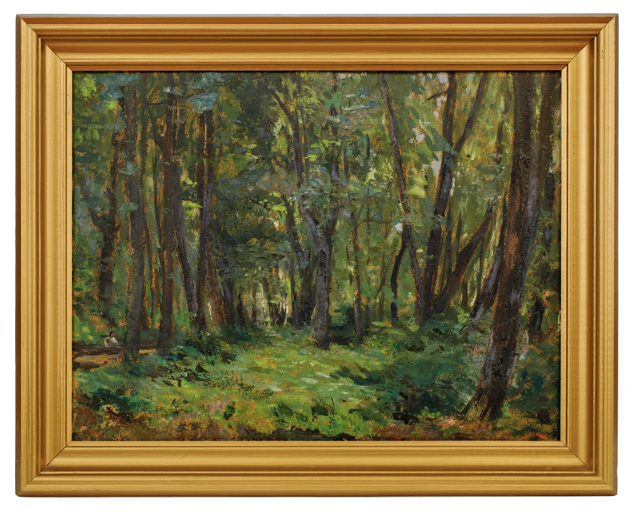 Interior de pădure