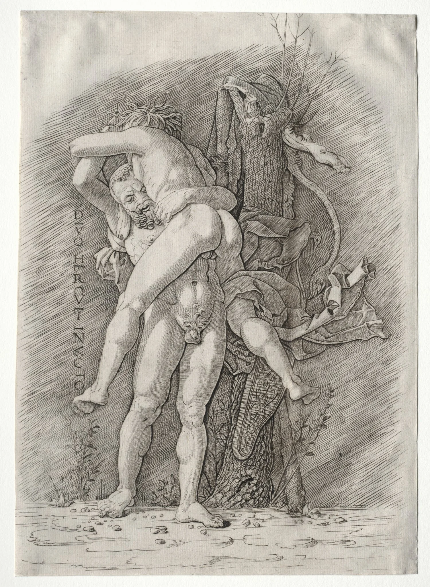 Hercules and Antaeus