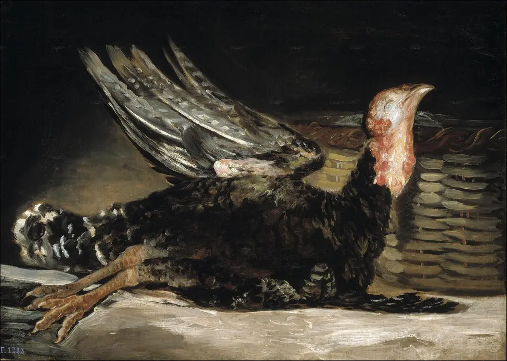 Dead turkey