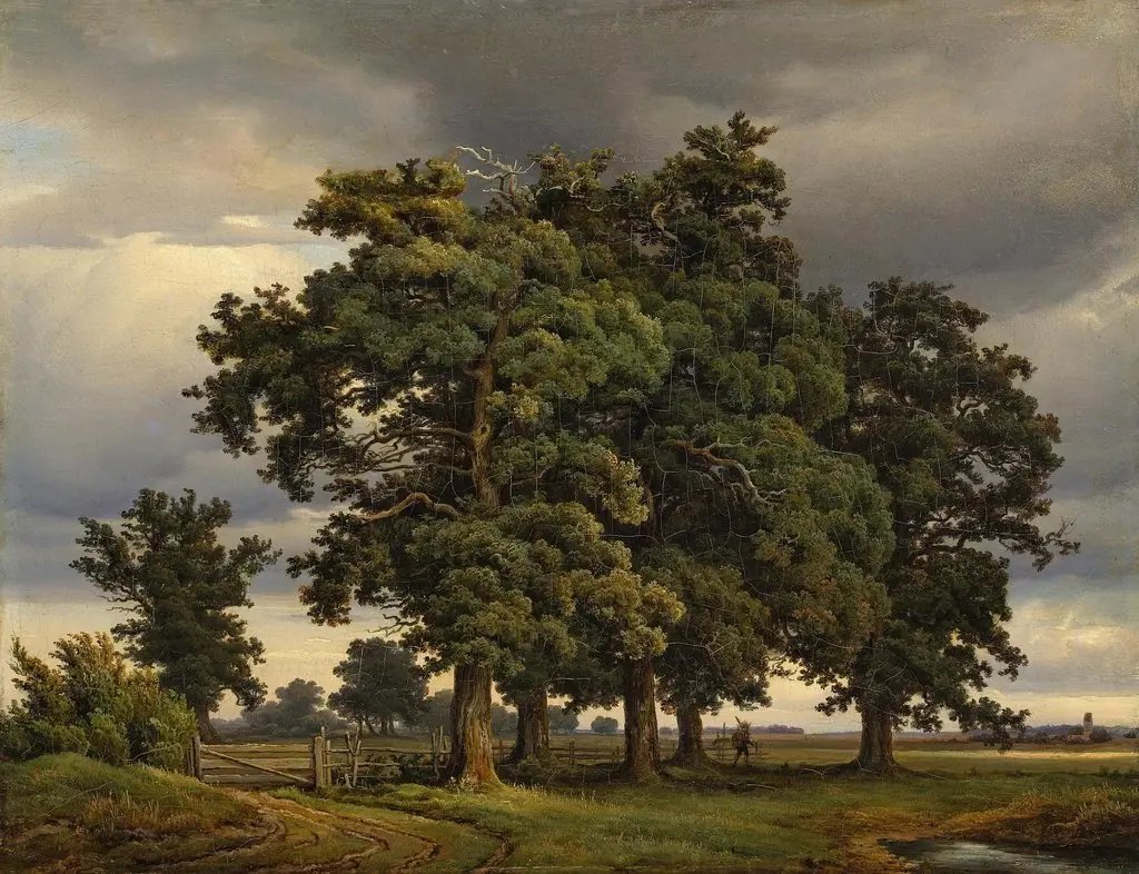 Oaks