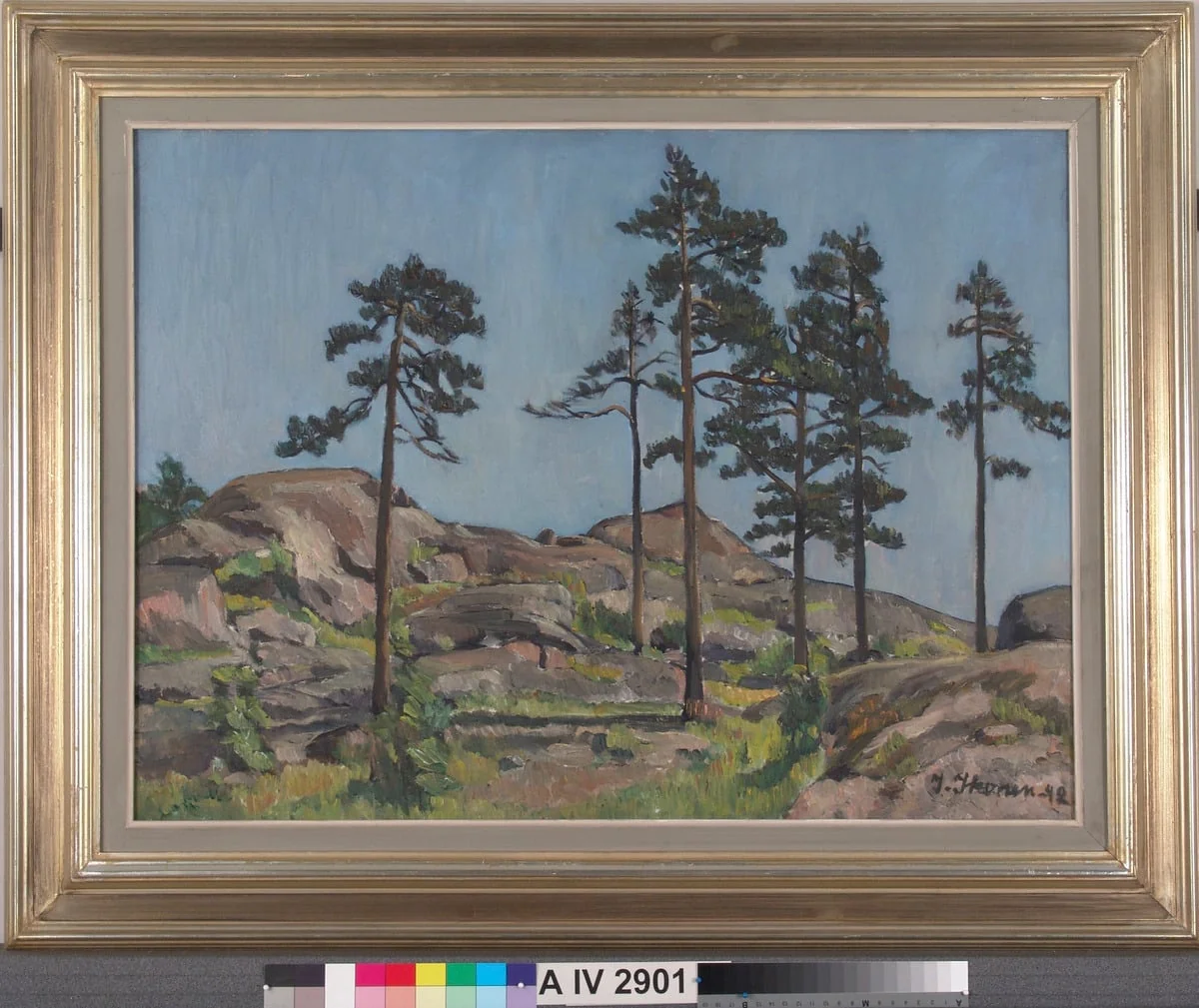 Mäntyjä kalliolla, by Ilmari Ikonen, unspecified