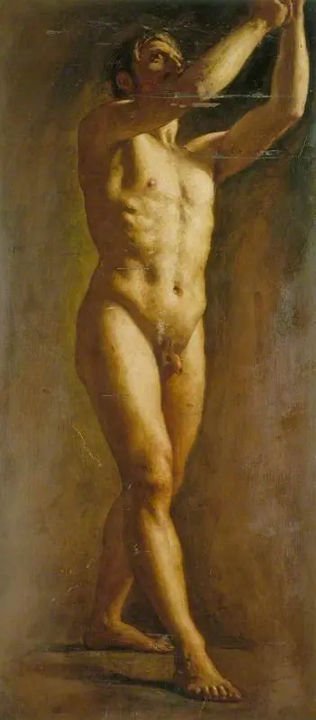Male Life Study