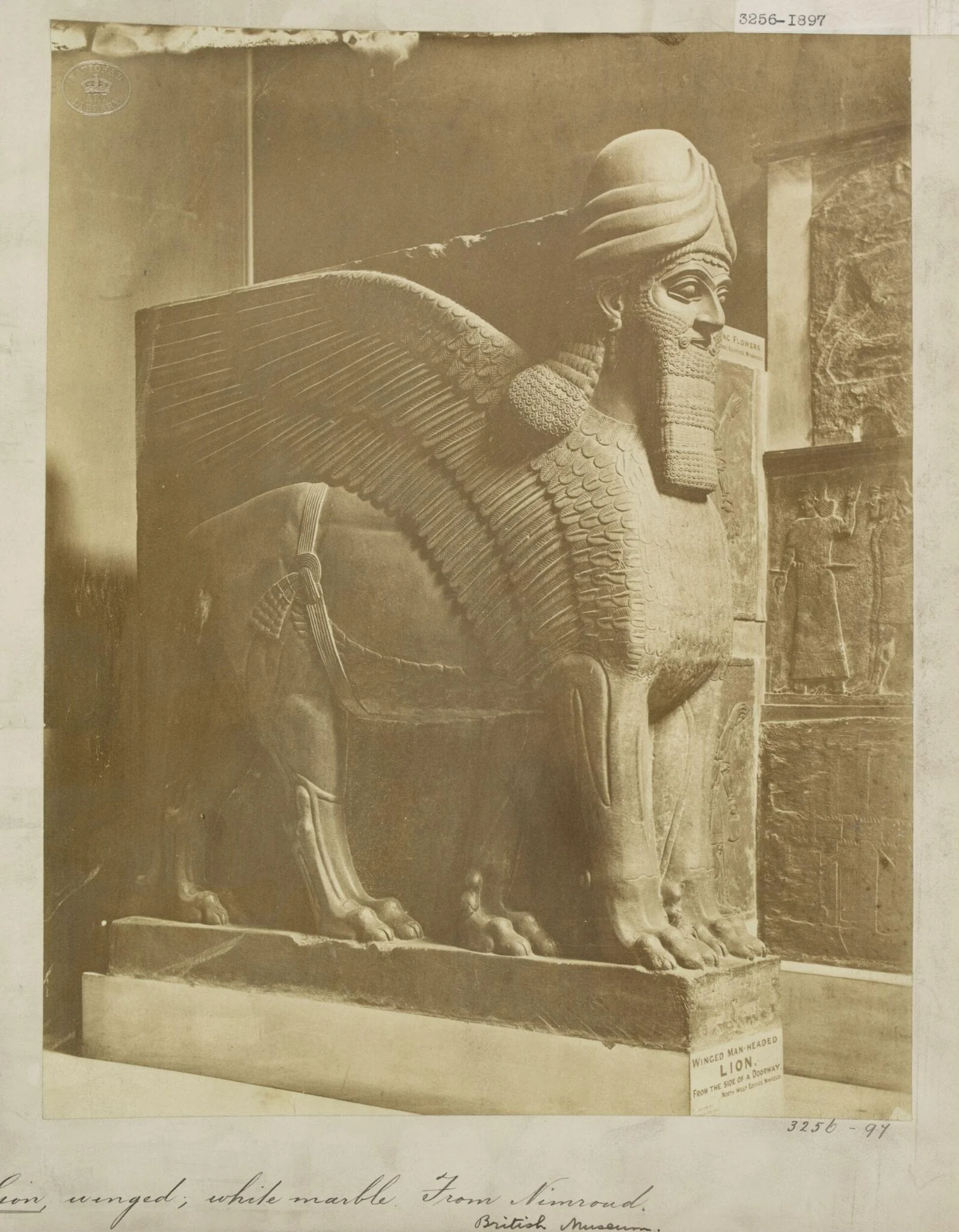 Neo-Assyrian colossal statue of a winged lion in white marble from the North-West palace of Ashurnasirpal II, Nimrud (ancient Kalhu), northern Iraq.  London: British Museum, by Unknown, photographic, 1897