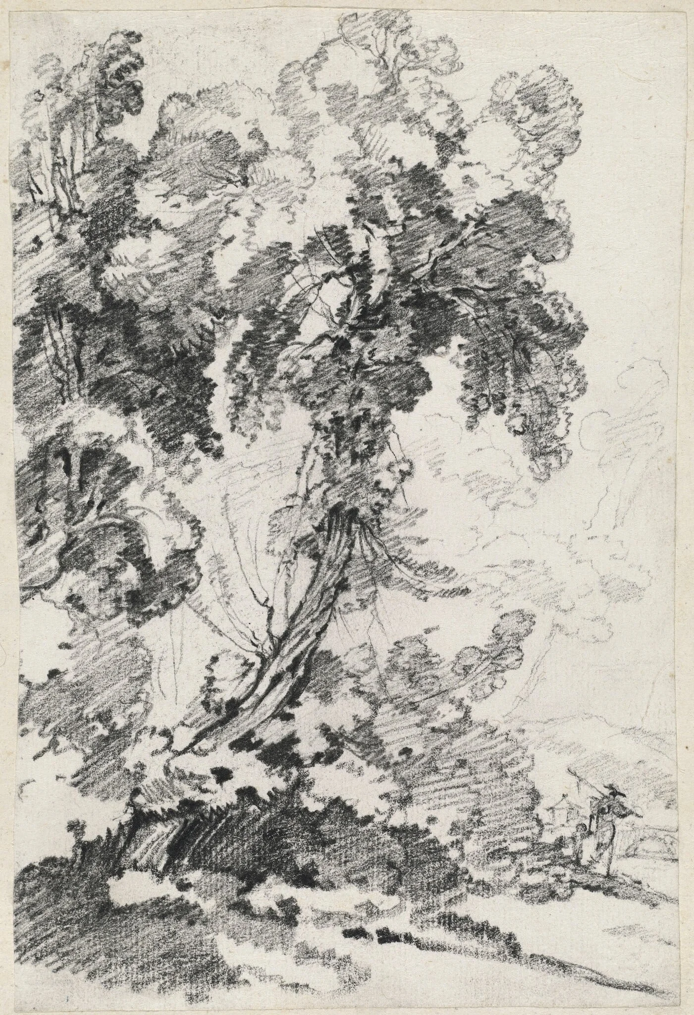 A Towering Tree with Travelers