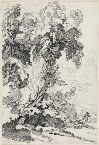 A Towering Tree with Travelers