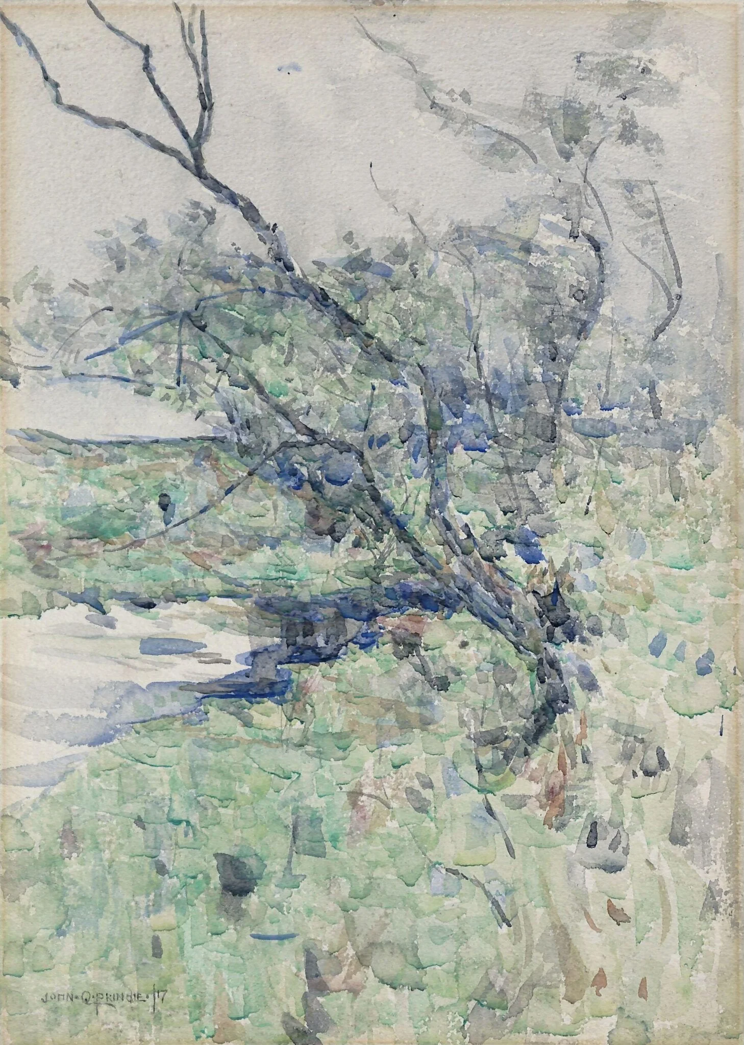 The Burn near Milngavie