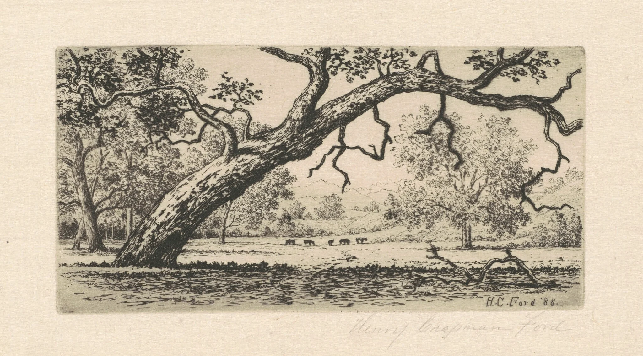 California Landscape