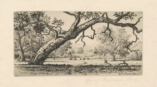 California Landscape