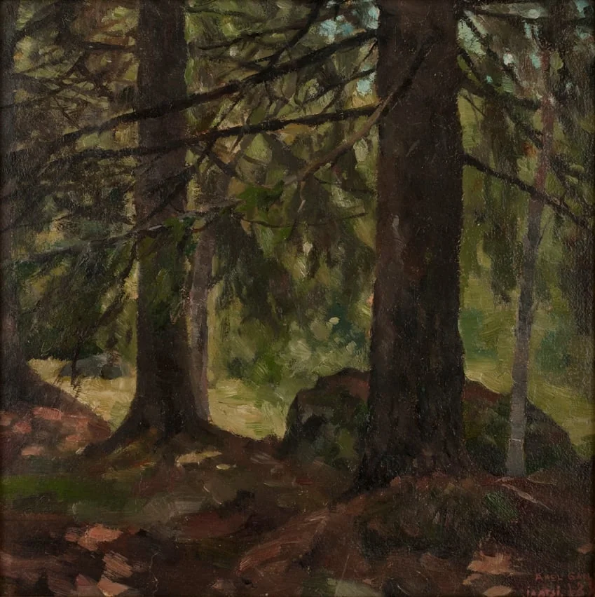 Skogsinteriör