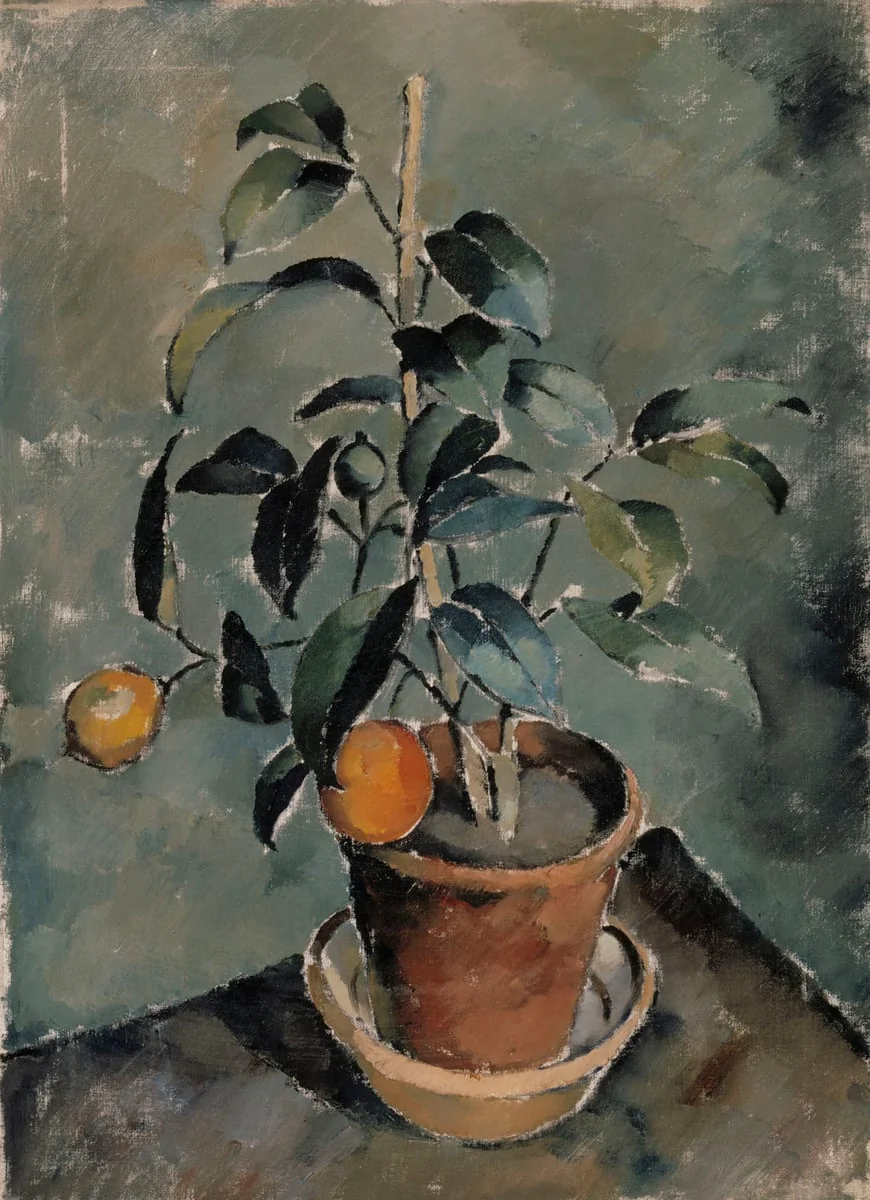 Appelsiinipuu