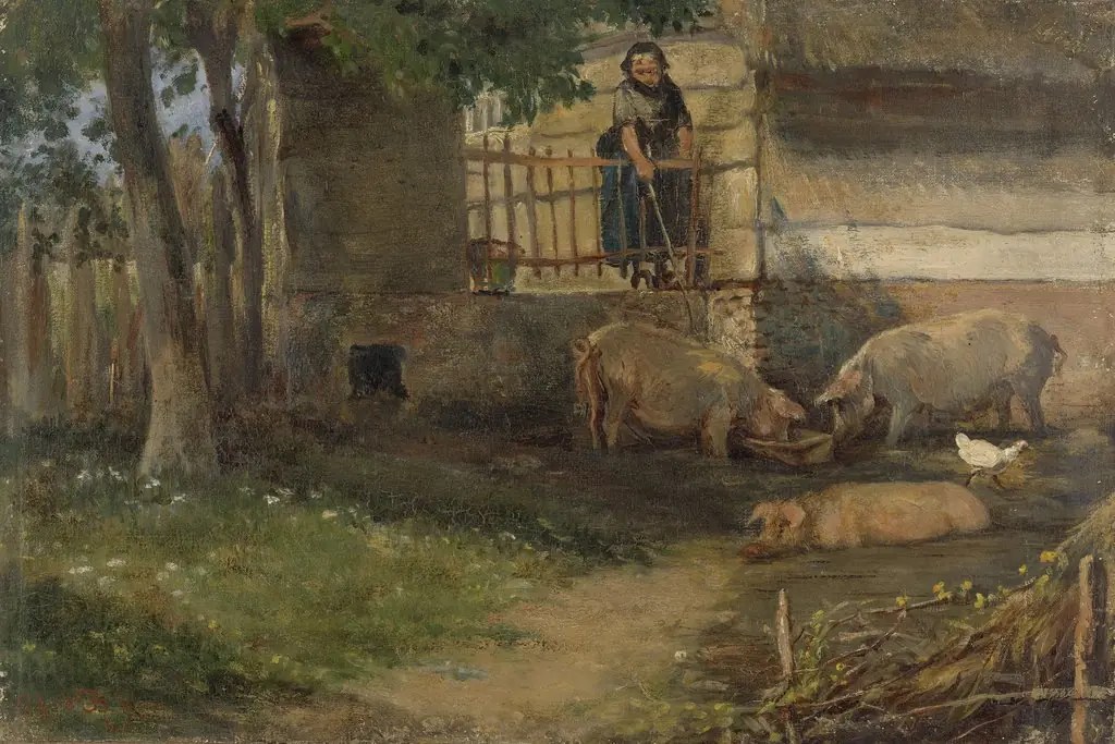 Pigs in a barnyard
