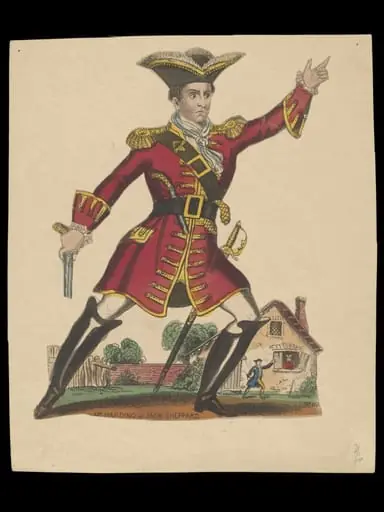 H Beard Print Collection