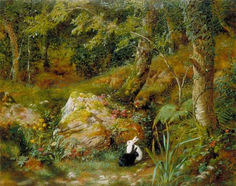 Stray Rabbits