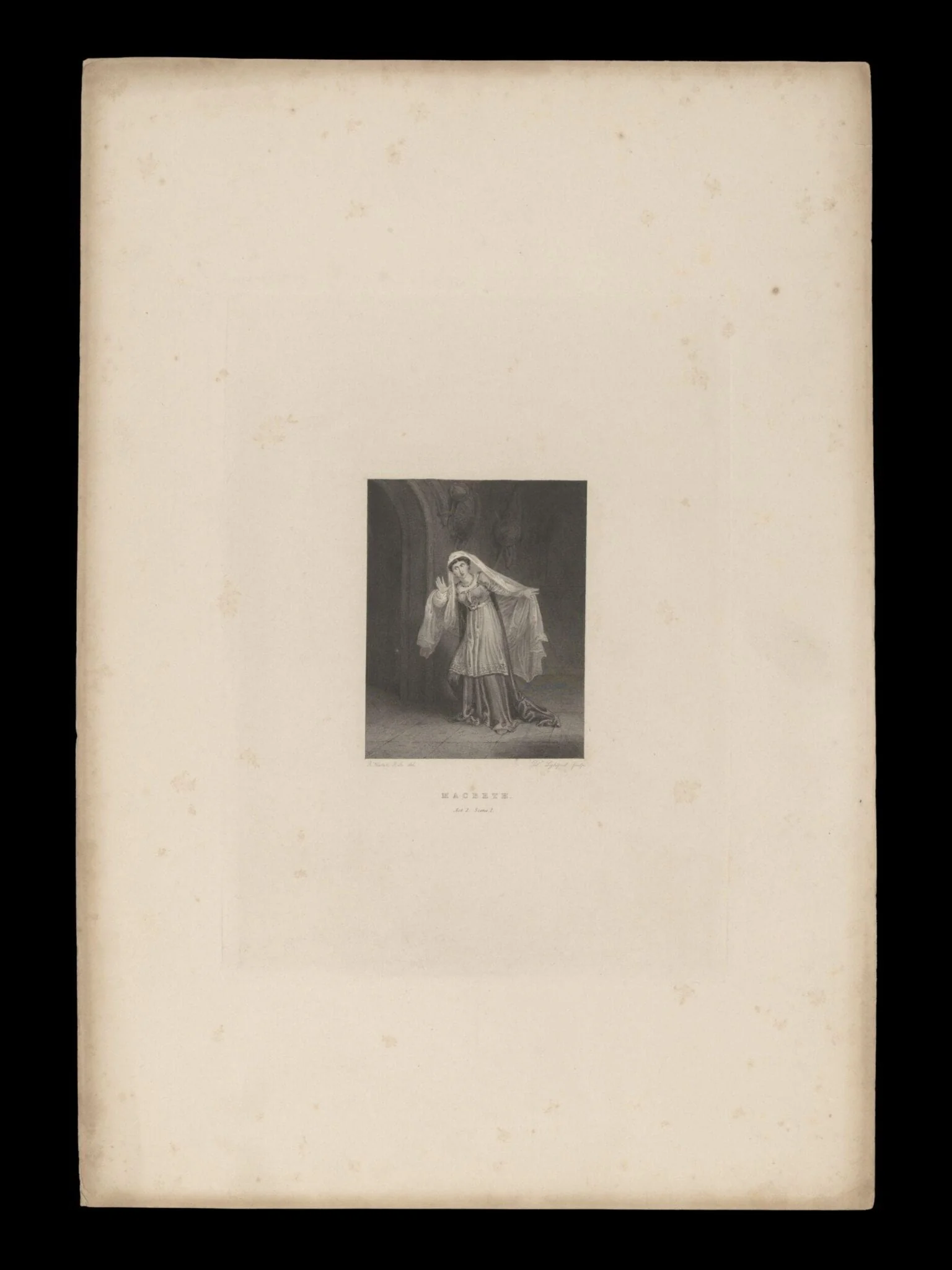 H Beard Print Collection