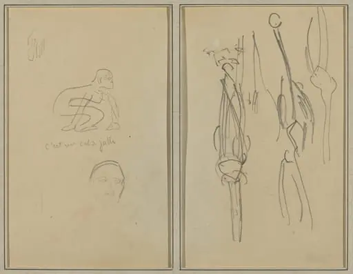 Crouching Monkey and Man's Head; Bones and Muscles [verso]