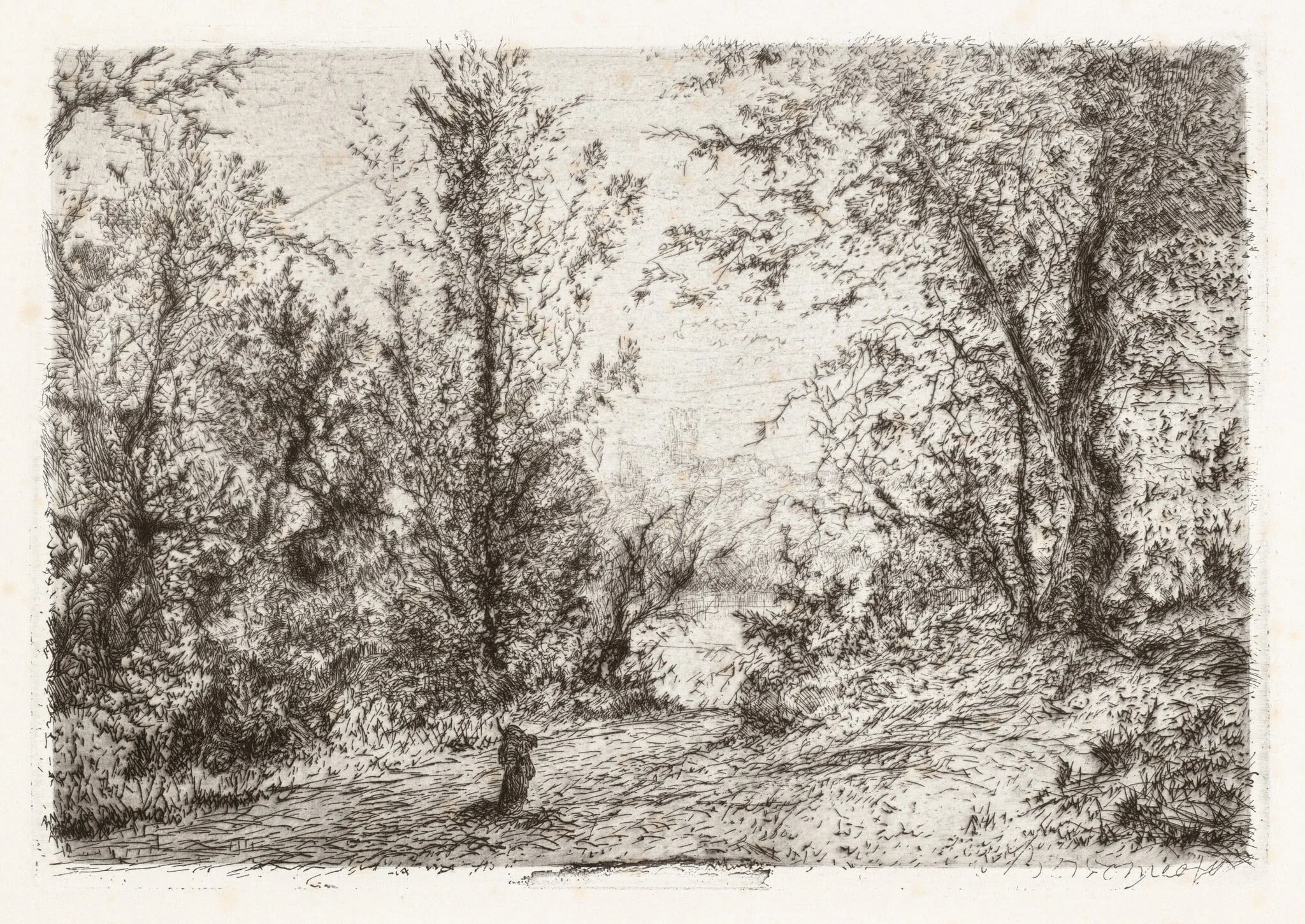 Forest on Lago Maggiore [Foresta sul Lago Maggiore]