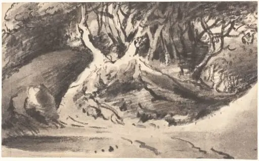 Wooded Landscape