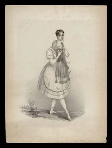 H Beard Print Collection