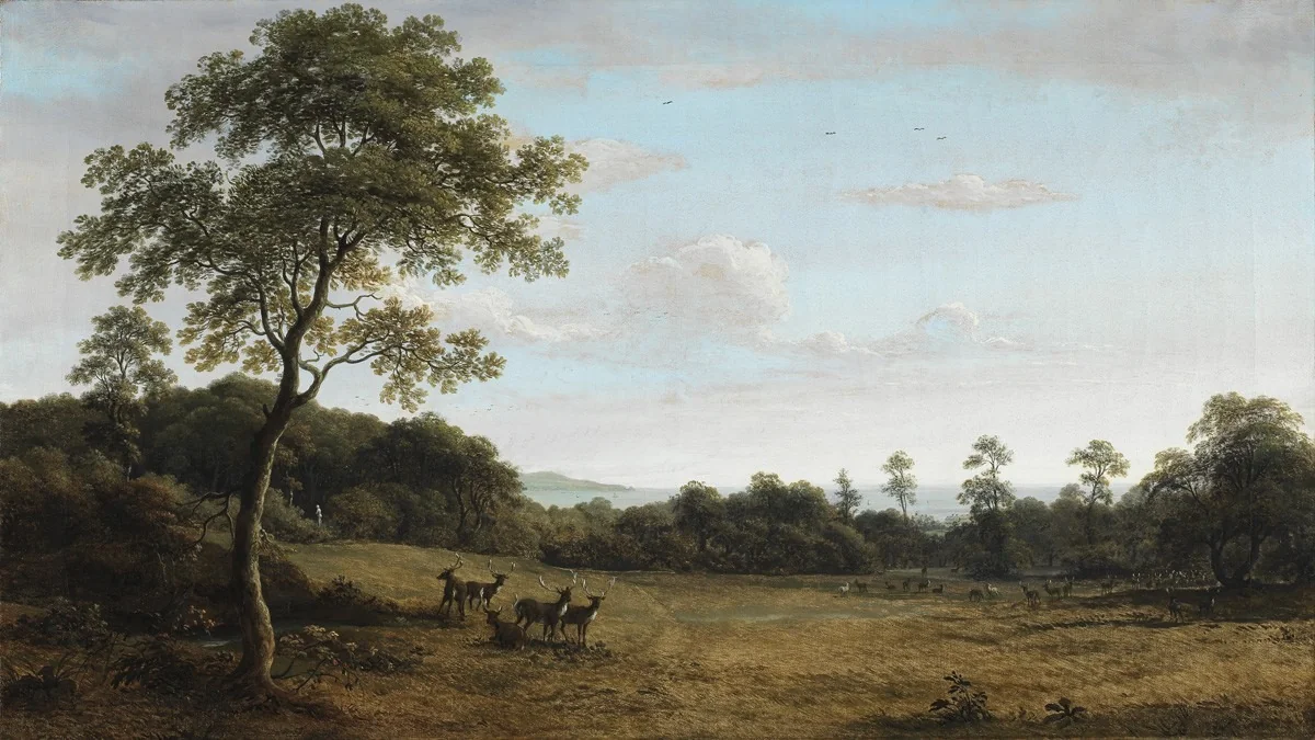 View in Mount Merrion Park