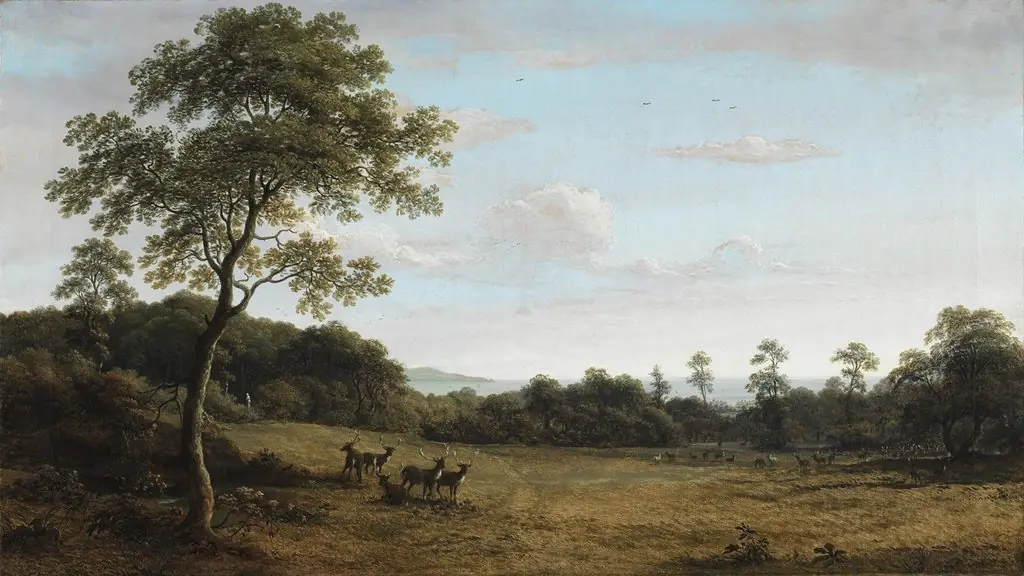 View in Mount Merrion Park